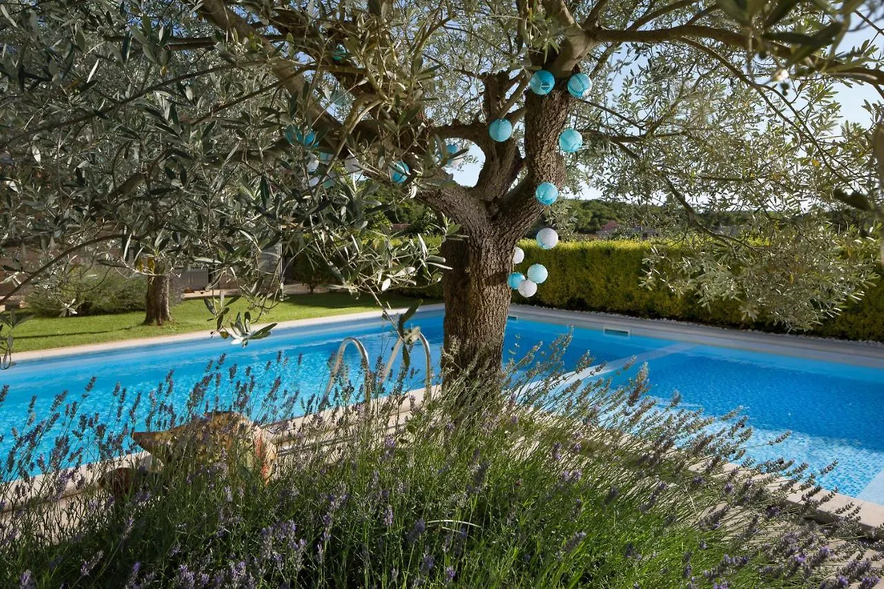 Art Villa Sis Rovinj